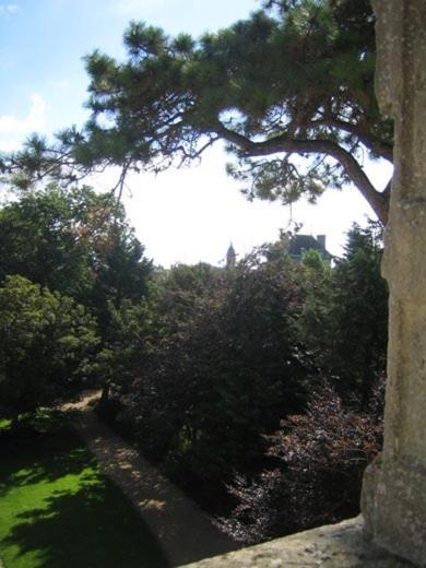 Chateau Francois D'O Hotell Courseulles-sur-Mer Rum bild